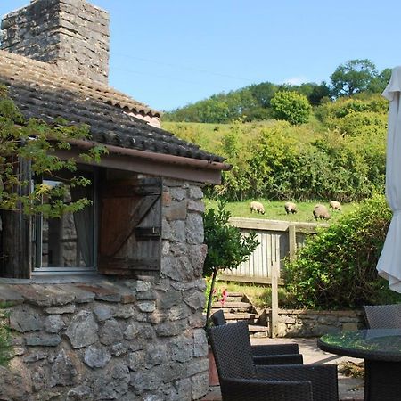 Fenny Castle Vineyard Cottage Wookey Exteriör bild