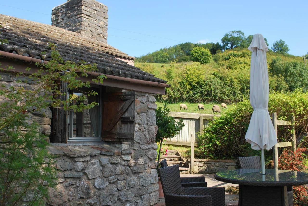 Fenny Castle Vineyard Cottage Wookey Exteriör bild