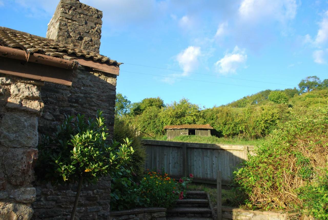 Fenny Castle Vineyard Cottage Wookey Exteriör bild