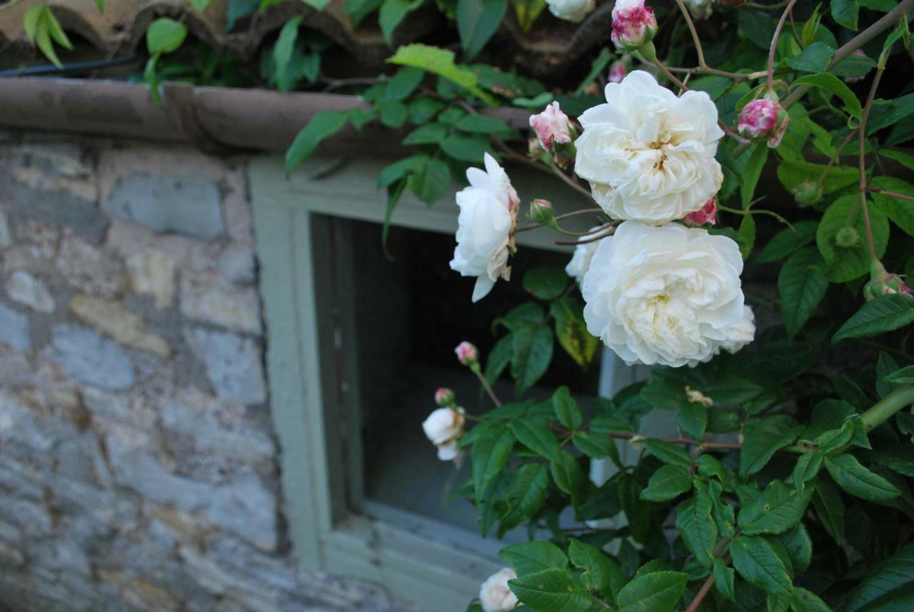 Fenny Castle Vineyard Cottage Wookey Exteriör bild