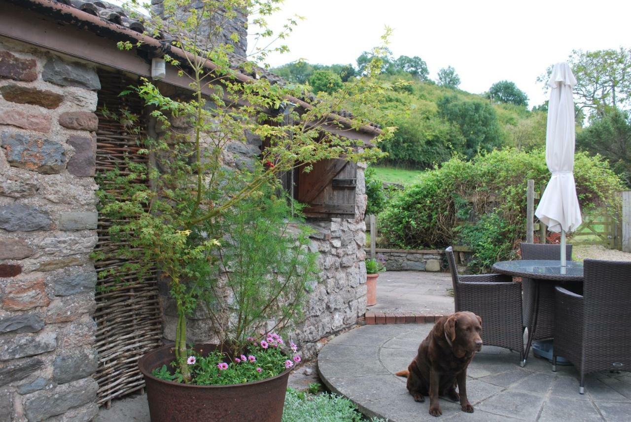 Fenny Castle Vineyard Cottage Wookey Exteriör bild